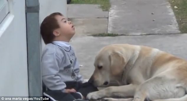 Chú chó kiên trì an ủi cậu bé mắc hội chứng Down: Mình làm bạn nhé