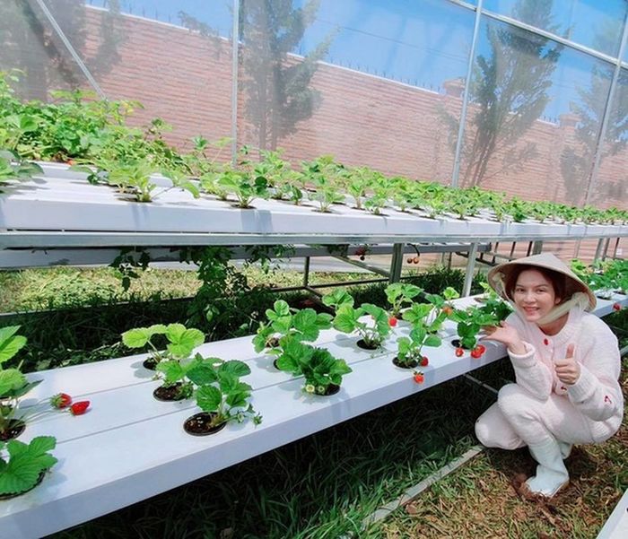 Khu vườn trái cây đi hoài không hết của sao Việt: Vân Trang 50.000 m2