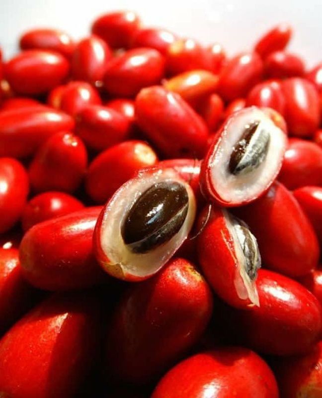 Loại quả lừa tình nhất thế giới: Ăn xong khổ qua cũng thành vị ngọt