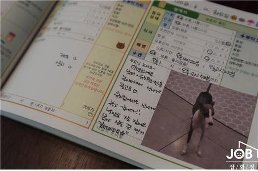 Lớp mẫu giáo cho thú cưng Hàn Quốc: Các boss còn bị kiểm tra bài cũ
