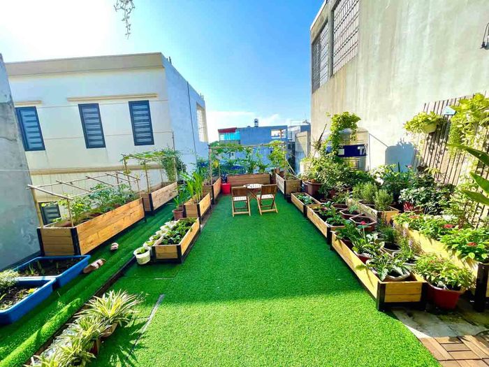 Mẹ đảm biến mái nhà rêu mốc thành sân vườn xanh mướt và cực chill