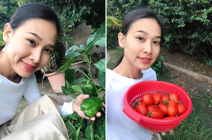 Ngắm vườn rau quả của các HH Việt ở trời Tây: Trồng cho đỡ nhớ quê