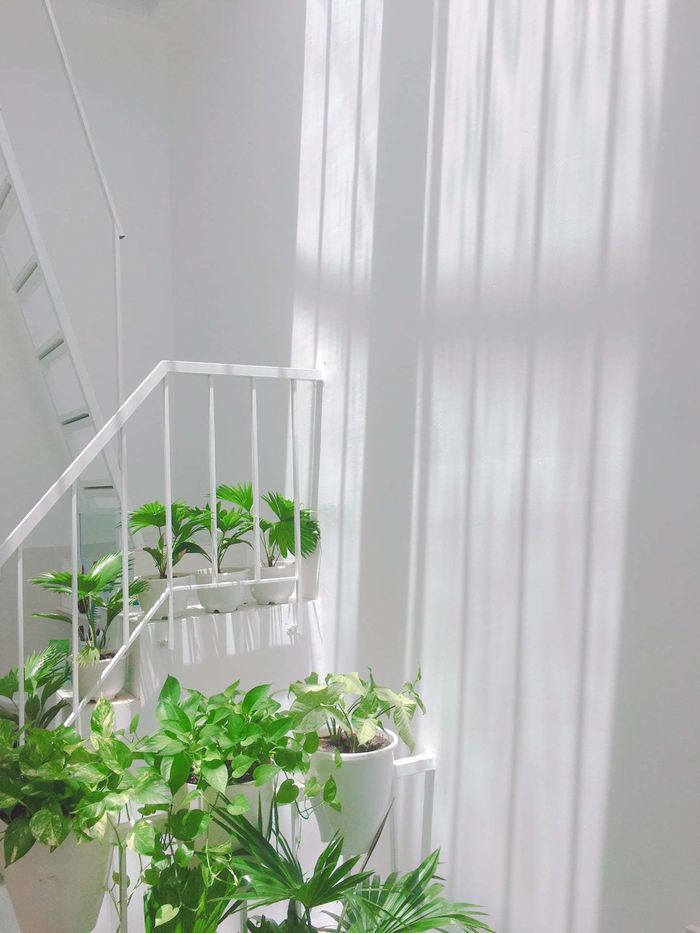 Nhà cấp 4 trong hẻm lột xác khó nhận ra, góc nào cũng đẹp ngây ngất