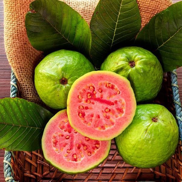 Những loại quả cực giàu canxi tốt cho sức khỏe, càng ăn nhiều càng đẹp