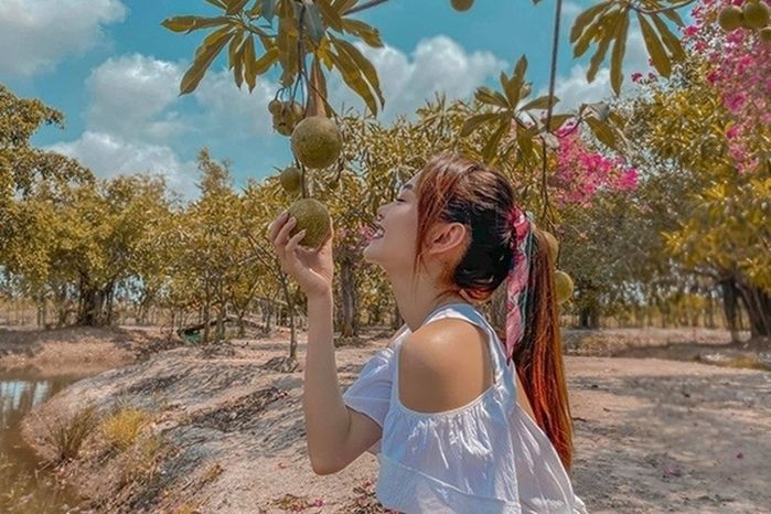 Những mỹ nhân độc thân của showbiz đều là đại gia ngầm bất động sản