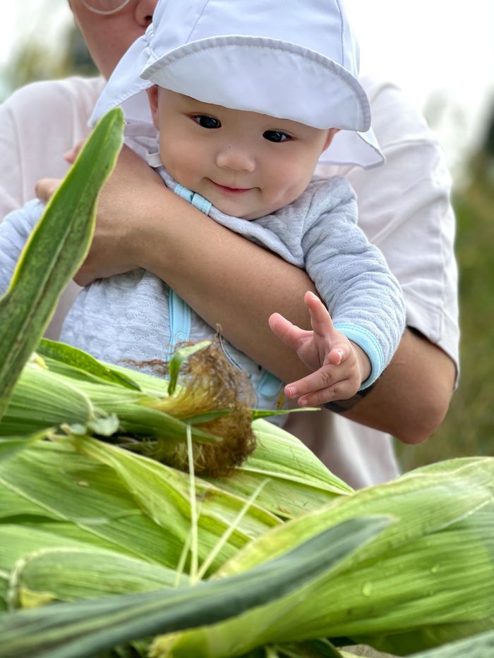 Những ông bố bà mẹ sao Việt lầy lội dìm hàng con cái