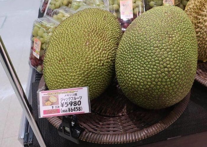 Những thứ rẻ bèo ở VN vào siêu thị Nhật cực đắt: Hạt mít 200 ngàn/kg