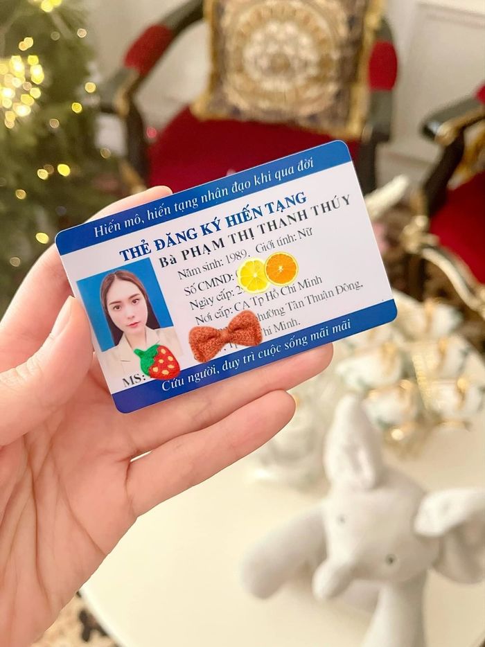 Những việc làm ý nghĩa vì cộng đồng của vợ chồng Đoàn Di Băng
