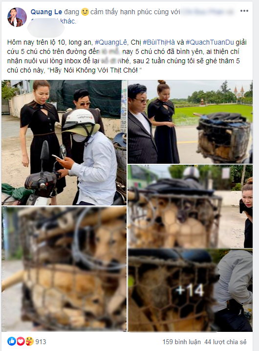 Sao hành động đẹp với động vật: Quang Lê cứu 5 bé cún đáng thương
