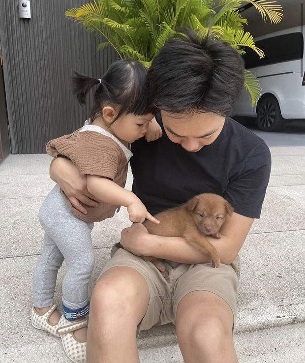 Sao hành động đẹp với động vật: Quang Lê cứu 5 bé cún đáng thương