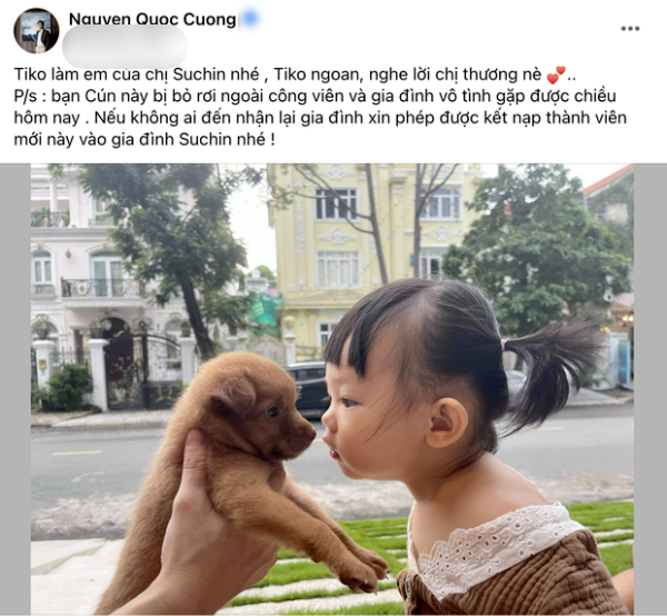 Sao hành động đẹp với động vật: Quang Lê cứu 5 bé cún đáng thương