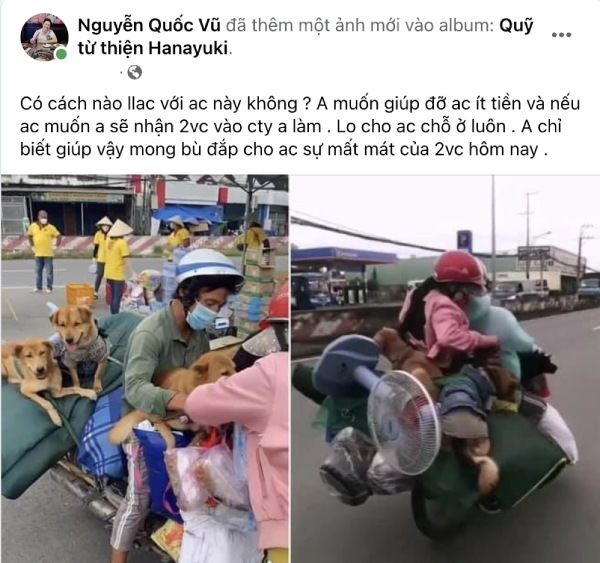Sao hành động đẹp với động vật: Quang Lê cứu 5 bé cún đáng thương