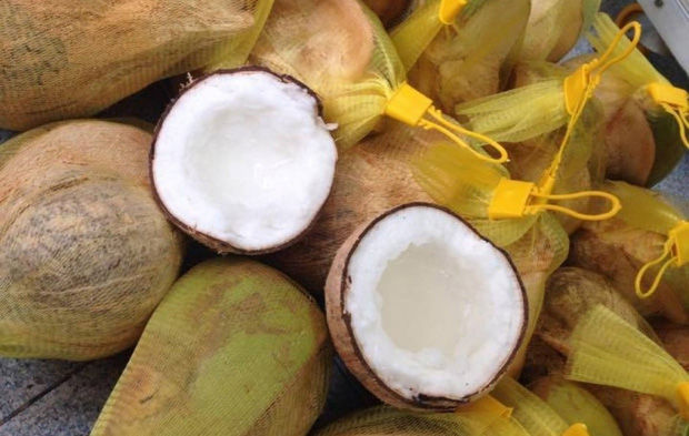 Trái cây Việt nâng tầm quốc tế: vải 500k/kg vẫn chưa bằng dừa sáp