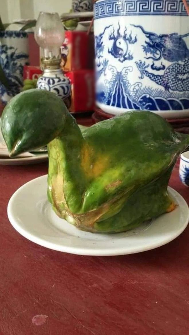 Xem rau củ tạo nét, làm trò: Hết chui hàng rào, lại đột biến khó tin