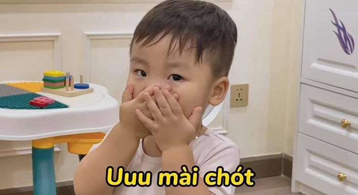 Ảnh hot sao Việt 8/11: Bo Thúi đi ăn mang theo bản đồ để học