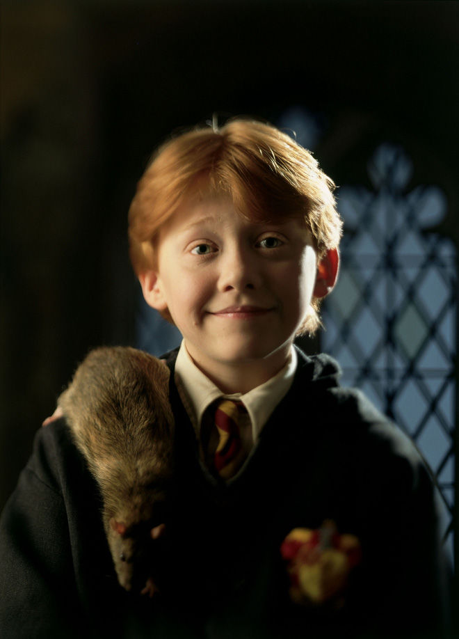 Cuộc sống của bộ 3 Harry Potter sau 20 năm ra sao?