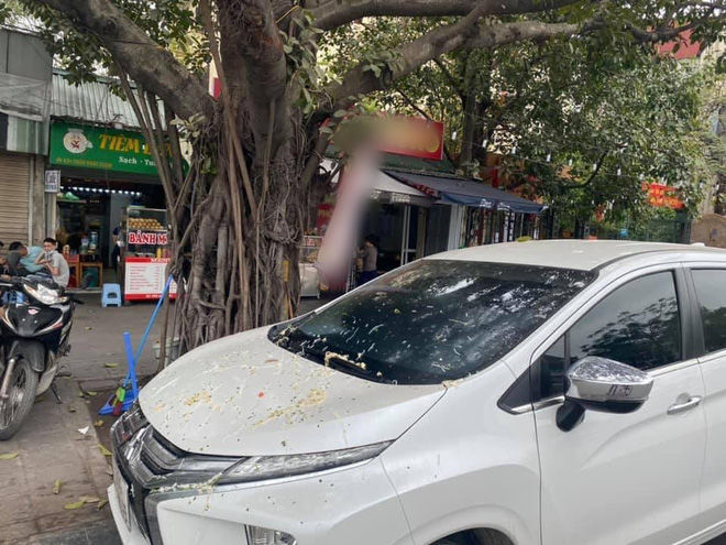 Bức xúc vì hàng xóm ngang nhiên kẻ vạch xe nhà đậu trên đường