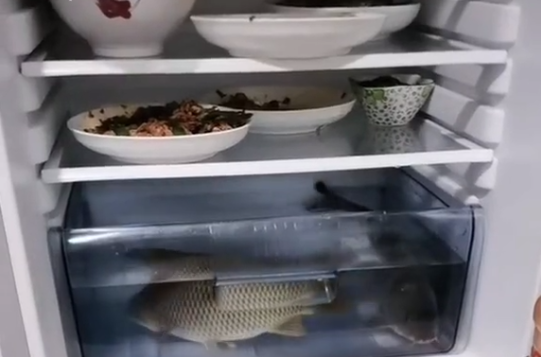 Cách bảo quản cá tươi trong tủ lạnh với kí kíp này 