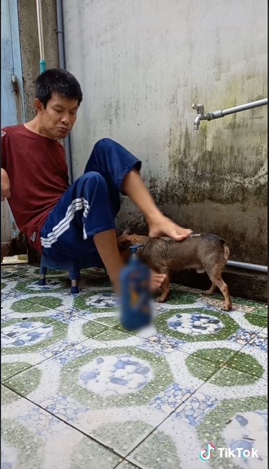 Cảm động chàng trai khiếm khuyết tắm gội cho cún cưng bằng 2 chân