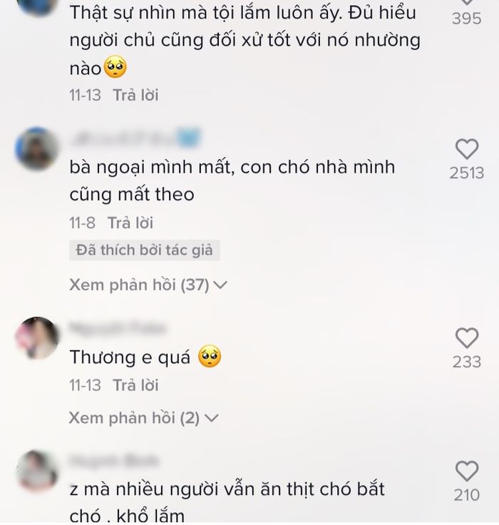 Chú chó khóc nấc, ngất xỉu trong đám tang của chủ ở miền Tây