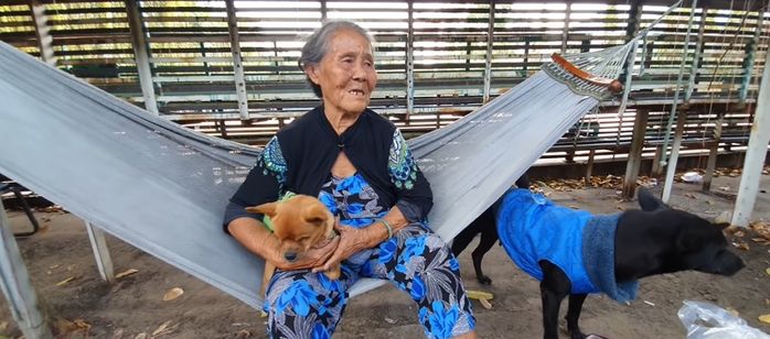 Chú chó mù ra sức bảo vệ chủ gây cảm động