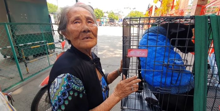 Chú chó mù ra sức bảo vệ chủ gây cảm động