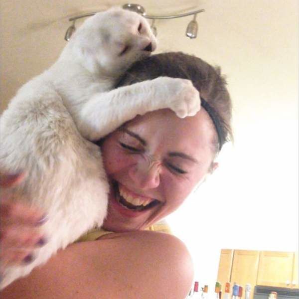 Chú mèo cụt tai giúp cô chủ khỏi bệnh tâm lý: Dựa vào nhau vui sống