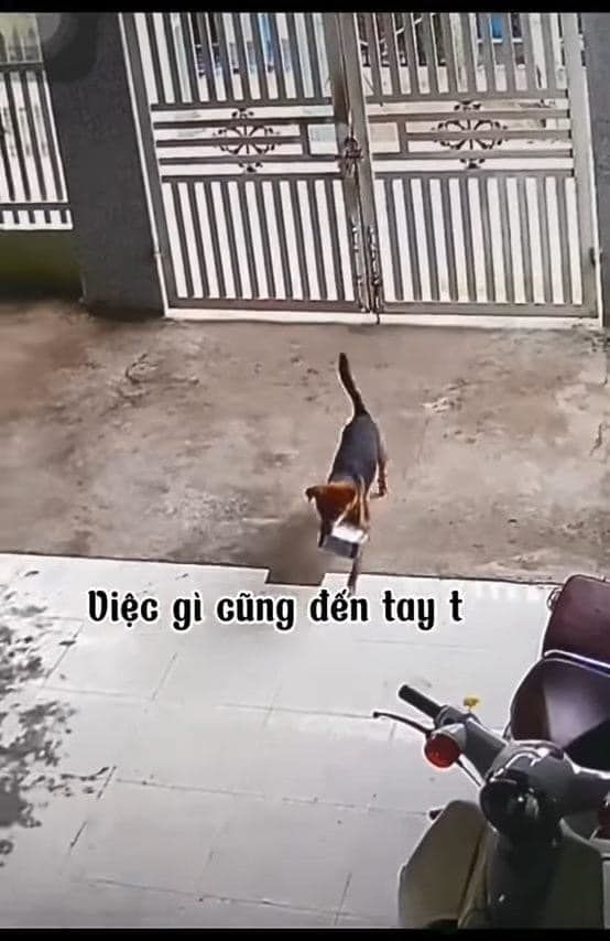 Chủ mua hàng online đến mức boss quen mặt rồi tương tư luôn shipper