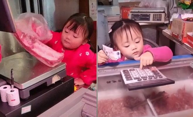 Cô bé từng chui trong thùng theo bố shipper giờ đã lớn phổng phao