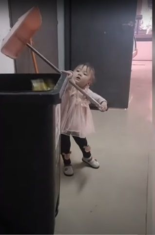 Cô bé từng chui trong thùng theo bố shipper giờ đã lớn phổng phao