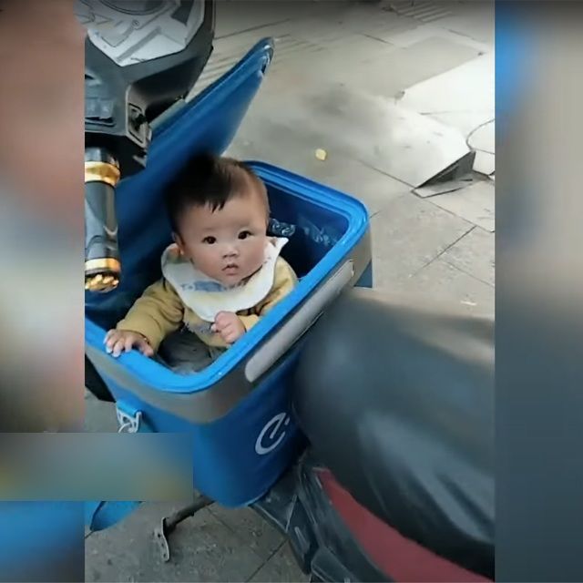 Cô bé từng chui trong thùng theo bố shipper giờ đã lớn phổng phao