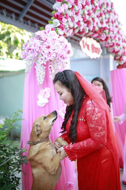 Chú chó ăn vạ, đòi đi theo khi biết cô chủ theo chồng