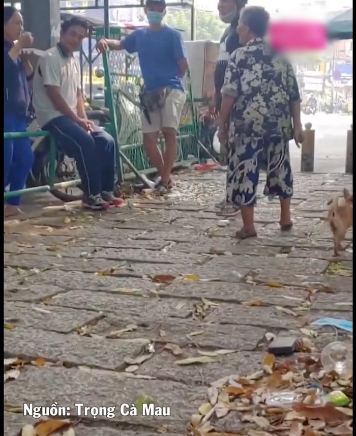 Cụ bà 76 tuổi nhặt ve chai nuôi chú chó mù ròng rã suốt 6 năm trời