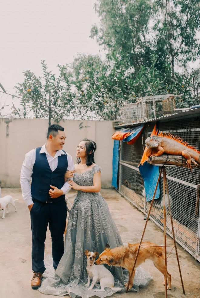 Cặp vợ chồng gặp sự cố quyết không sinh con để cưu mang 300 chó mèo