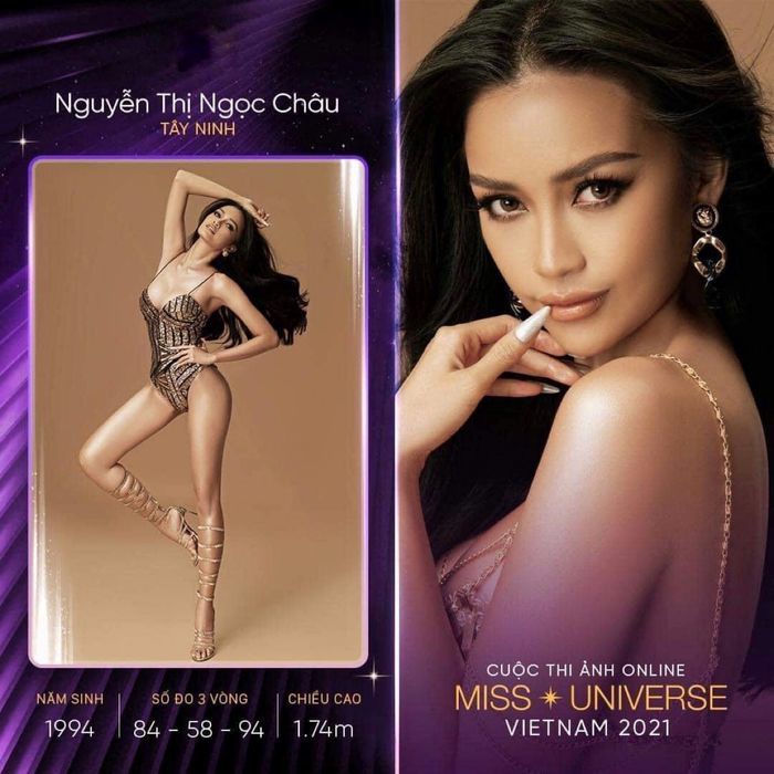 Hoa hậu Hoàn vũ Việt Nam 2021 đúng mùa all star: toàn mỹ nhân lừng lẫy