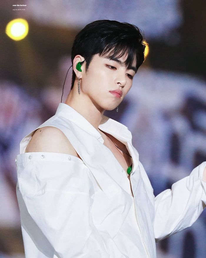 Idol Kpop sở hữu chất giọng độc đáo, nghe một lần là nhớ