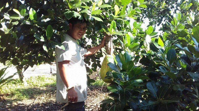 Nghề làm phù dâu bỏ túi chục triệu/đám, nhưng đòi hỏi ứng viên cao
