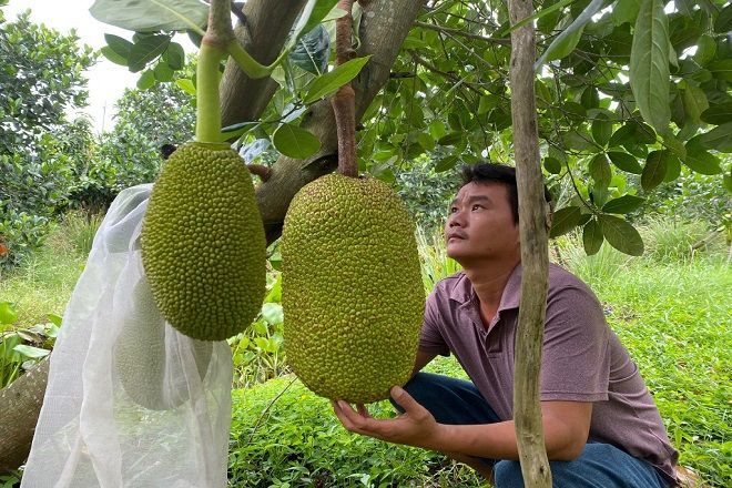 Nghề làm phù dâu bỏ túi chục triệu/đám, nhưng đòi hỏi ứng viên cao