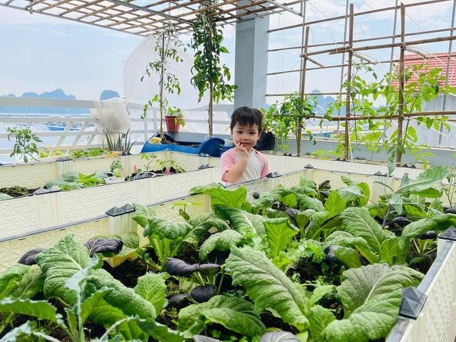 Mẹ trẻ mát tay trồng rau quả xanh tươi trên sân thượng ai nhìn cũng mê