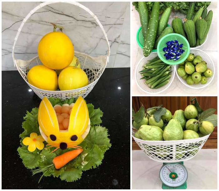 Mẹ đảm trở thành “nông dân sân thượng” với khu vườn 50m2 xanh mướt