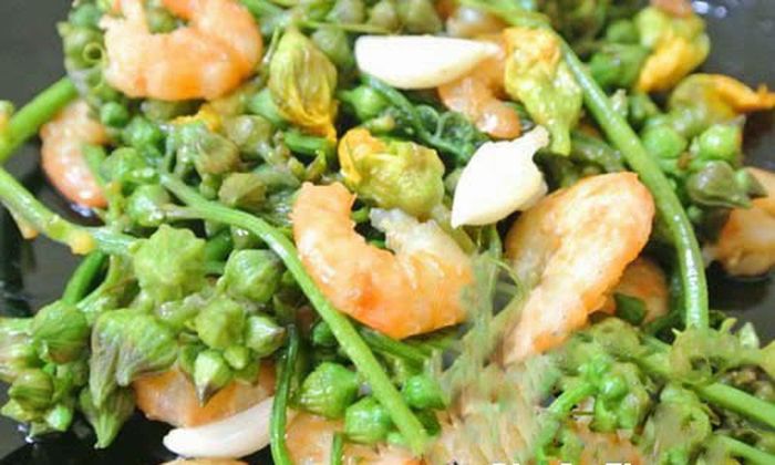Mọi người chỉ ăn lá và ngọn mồng tơi mà không biết phần hoa cũng ngon