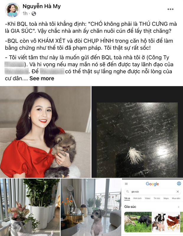 Một chung cư ở SG không cho cư dân nuôi chó: Sam hối hận đã muộn