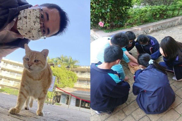 Ngôi trường dạy học sinh yêu thương động vật: Cho mèo làm Hiệu phó