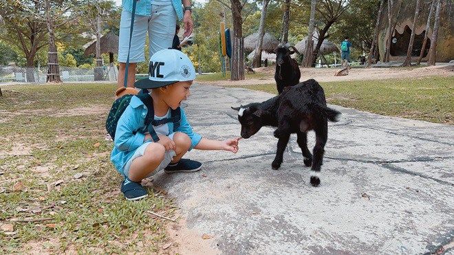 3 nhóc tỳ Vbiz đi chơi sở thú: Bo Thúi mang theo cả bảng học tiếng Anh