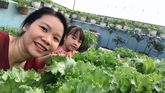 3 bà mẹ trồng rau siêu giỏi: Quỳnh Trần JP có ớt nửa tỷ