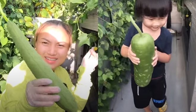 3 bà mẹ trồng rau siêu giỏi: Quỳnh Trần JP có ớt nửa tỷ