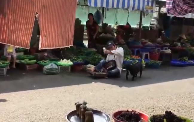 Những chú chó nhiệt tình giúp chủ làm việc nhà: Rửa xe, xách nước