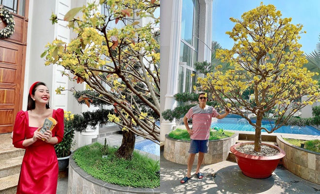 3 mỹ nhân Việt lấy chồng nhưng ở sát vách nhà ba mẹ ruột