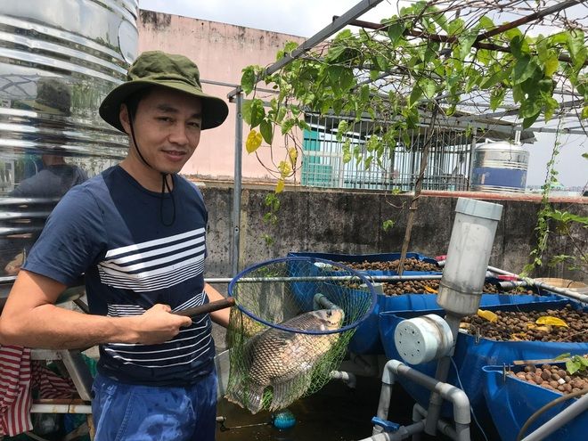 Ông bố SG biến sân thượng cũ thành vườn: trồng rau nuôi cá dư ăn