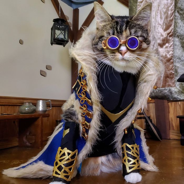 Pha cosplay hot nhất MXH: Sen có tâm đầu tư cho boss làm Bạch Tuyết